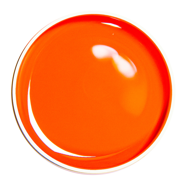 Alezori Painting Gel Orange 04   10gr