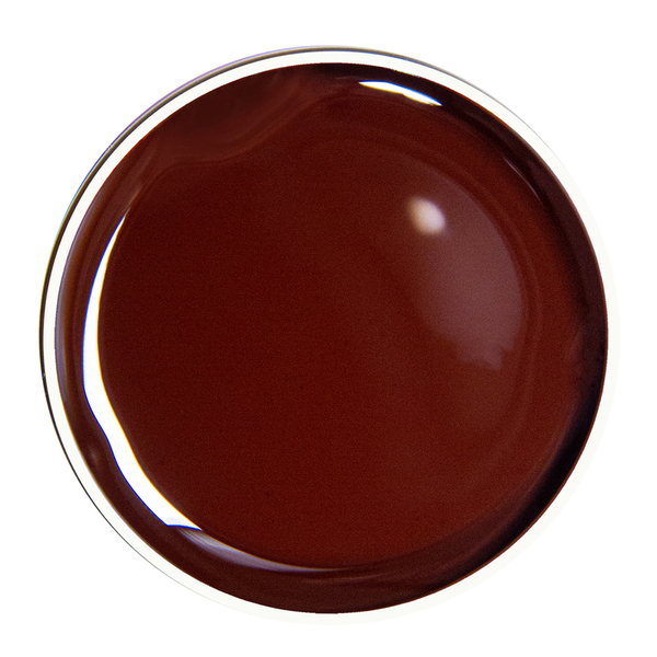 Alezori Painting Gel Brown 07   10gr