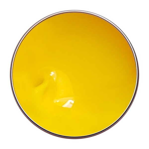 Alezori Painting Gel Yellow 02   10gr