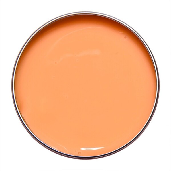 Alezori A&G Hybrid Spectrum Clementine 17gr Acrygel