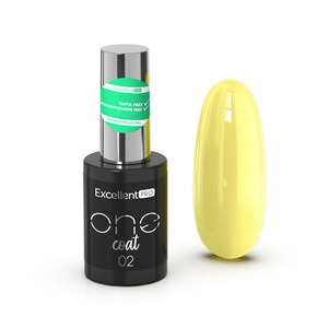Excellent PRO One Coat 002   11g