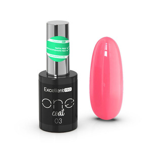 Excellent PRO One Coat 003   11g