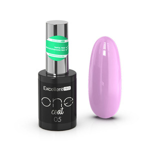Excellent PRO One Coat 005   11g