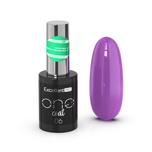 Excellent PRO One Coat 006   11g