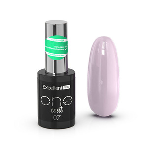 Excellent PRO One Coat 007   11g